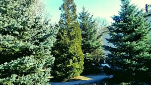 У МФЦ ( Прогулка за документами )