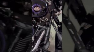 Harley-Davidson Heritage 2018 год