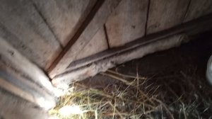 ОНА НЕ ДОВОЛЬНА/Я РАДА СЕГОДНЯ