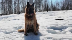 03.2026_Бакланово-1