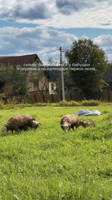 #деревня #дизньвдеревне #лето #природа #путешествия