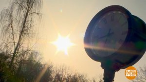 Весна! Мое место - под солнцем! Доброе утро. Фрагмент выпуска от 24.03.2026