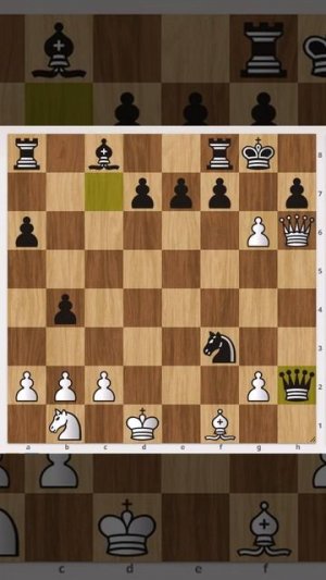 Чёрные забрали белого коня, под боем ладья_ однако белые гениально побеждают, не каждый найдет