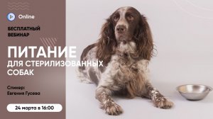 Бесплатный вебинар «Питание для стерилизованных собак»