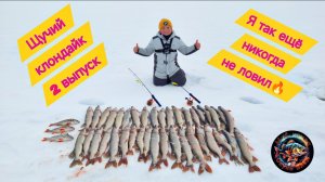 Щучий клондайк, я так никогда не ловил🔥