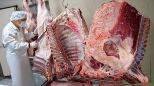 залипательная нарезка говядины! корейское барбекю