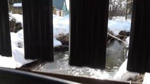 Самодельная плотина под Голицыно