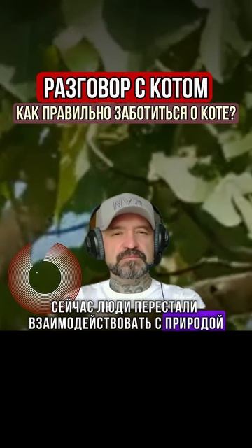 РАЗГОВОР С КОТОМ