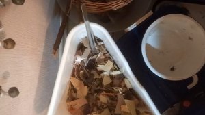 Сухой компост. Этап первый