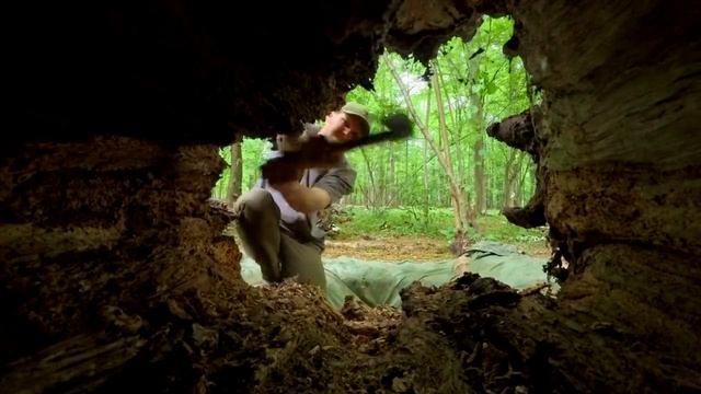 Бушкрафт. Сделал секретную землянку 🌲🏡 # #Polissya Bushcraft ENG