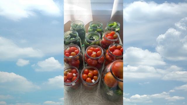 Засолка огурцов и помидор 3-6-9