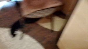 Мы выполняем 40 челонжей