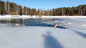 Массовый заплыв в кратере ЧГ