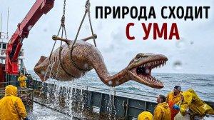 Самое странное существо в истории Земли 🧬 Кто это был?