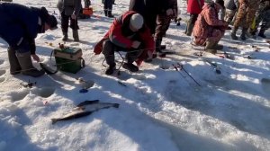 24.03.26 г. РК Волна.