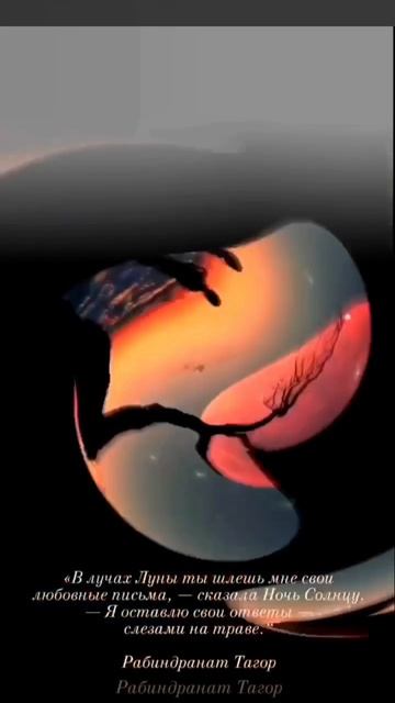 Волшебной ночи!