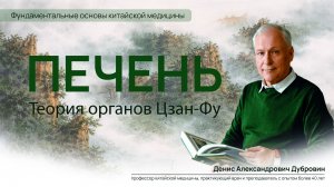 Теория органов Цзан-Фу. Печень.