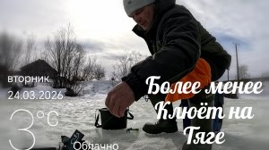 Рыбалка на Сорогу И Леща,что клюнет 🙂