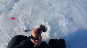 Закрыл зимний сезон 2026. Секреты проводом на черта. Рыбалка на Рузе. Последний лёд.