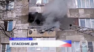 Пожарные спасли кошку из задымленного здания на улице Тимирязева в Нижнем Новгороде