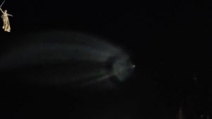 Необычные яркие следы в небе наблюдали жители республики Коми.

Предположительно, они возникли в ...