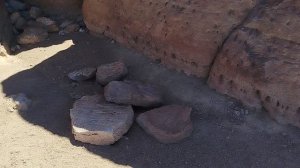 Вискачи и мыши в Боливии