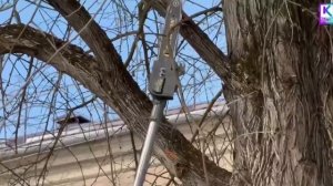 В Керчи продолжаются плановые работы по благоустройству и санитарной очистке территорий