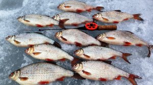 Весенняя рыбалка на Плотву. Ловля Волжской Сороги на мормышку. Подводная съемка.