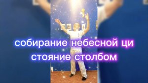 Утренний цигун 24.03.2026 #цигун #цигундляначинающих #цигунонлайн #утренний #утреннее