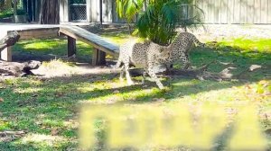 Крис и мама в Фермерских историях для детей