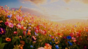 Мироздание