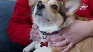 КАЖДЫЙ ДЕНЬ НА СЧЕТУ, 24.03.2026