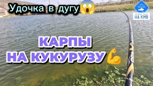 Карп на кукурузу в марте, на поплавок 🎣 Нижнеподкумский четвёртый пруд. Ставропольский край.