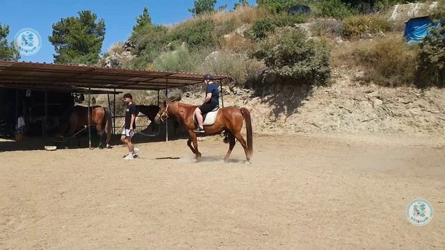 Otisium Турция коррекция аутизма. ИЛЬЯ Щ. 2024 - Эрдал Атеш Чидем Атеш