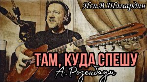 Там, куда спешу (А.Розенбаум). Гитара Луначарского