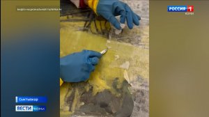 В Национальной галерее показали начало процесса обновления картины Рема Ермолина «Над Вычегдой»