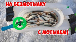 Рыбалыч в городе.