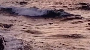 На море можно смотреть бесконечно