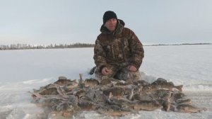 ВОТ ТАКАЯ ЗИМНЯЯ РЫБАЛКА, РАНЬШЕ БЫЛА)! ОКУНИ ИЗ ЛУНКИ ДОСТОЙНЫЕ ВЫХОДИЛИ НА ДАЛЁКОМ И ДИКОМ ОЗЕРЕ!