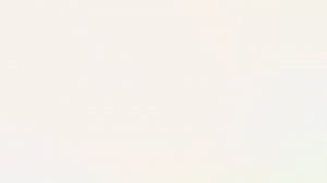 кто такие сью? объясняю