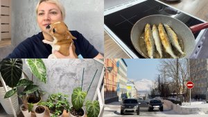 Норильск/ В гости на Корюшку/ Морозный март.