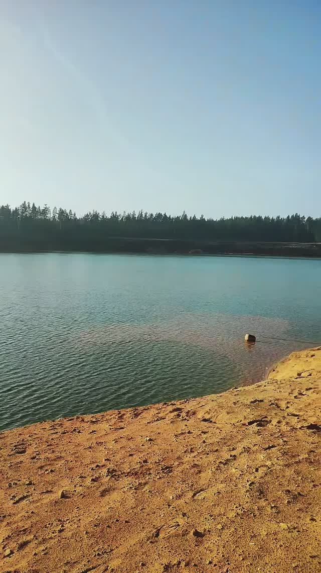 Ленинградская область, Таменгонт, песчаные карьеры