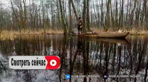 Кемпинг с моим четвероногим другом на острове, рыбалка, ночевка на природе