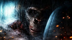 Лучшие фильмы 2025 года.Фильмы.