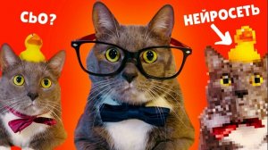 Kotiynet — 3 сезон, 33 серия. | 16+