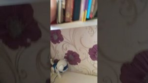 всем привет