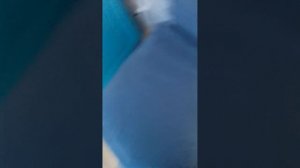 VID_20260324_124931.mp4