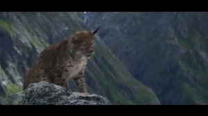 «РАСПРАВЬ КРЫЛЬЯ». Судьба меняется заботой о благе окружающего мира. 7 шагов навстречу новой судьбе