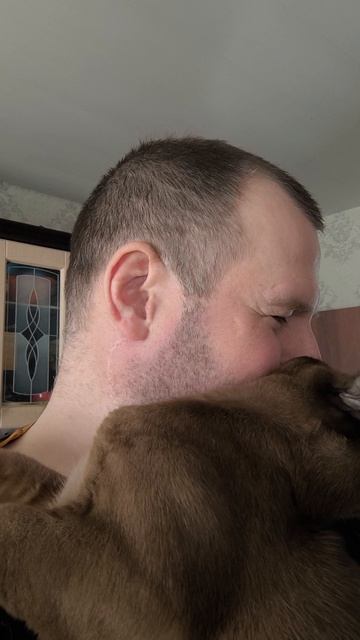 котик Барсик
