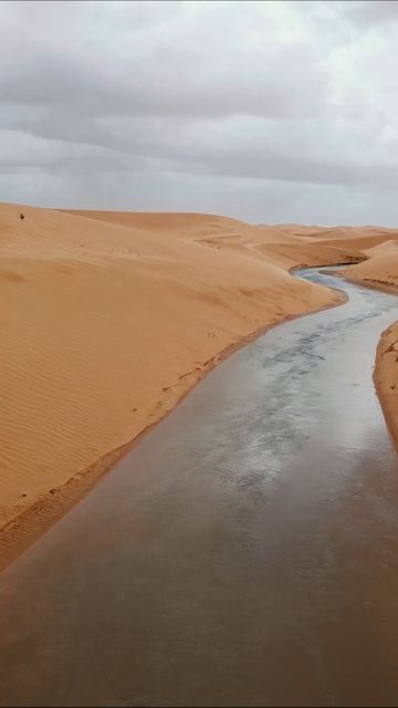 Жемчужина среди песков: река в пустыне #пейзаж #пустыня #путешествия